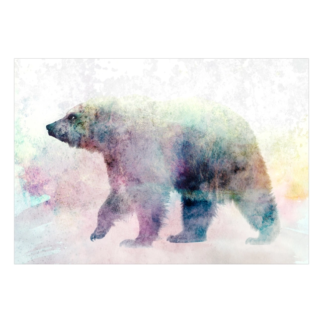 Fototapeta - zwierzęta kolorowy samotny niedźwiedź